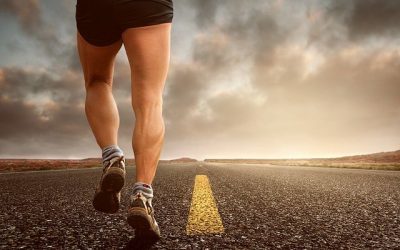 À qui s’adresser pour obtenir ses équipements et tenues de sport ?